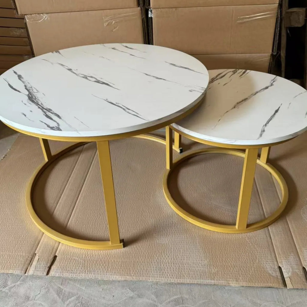 Modern Embedded Round Steel Frame Wood Top Coffee Table for Living Room Home Decoration