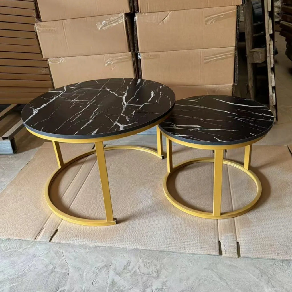 Modern Embedded Round Steel Frame Wood Top Coffee Table for Living Room Home Decoration